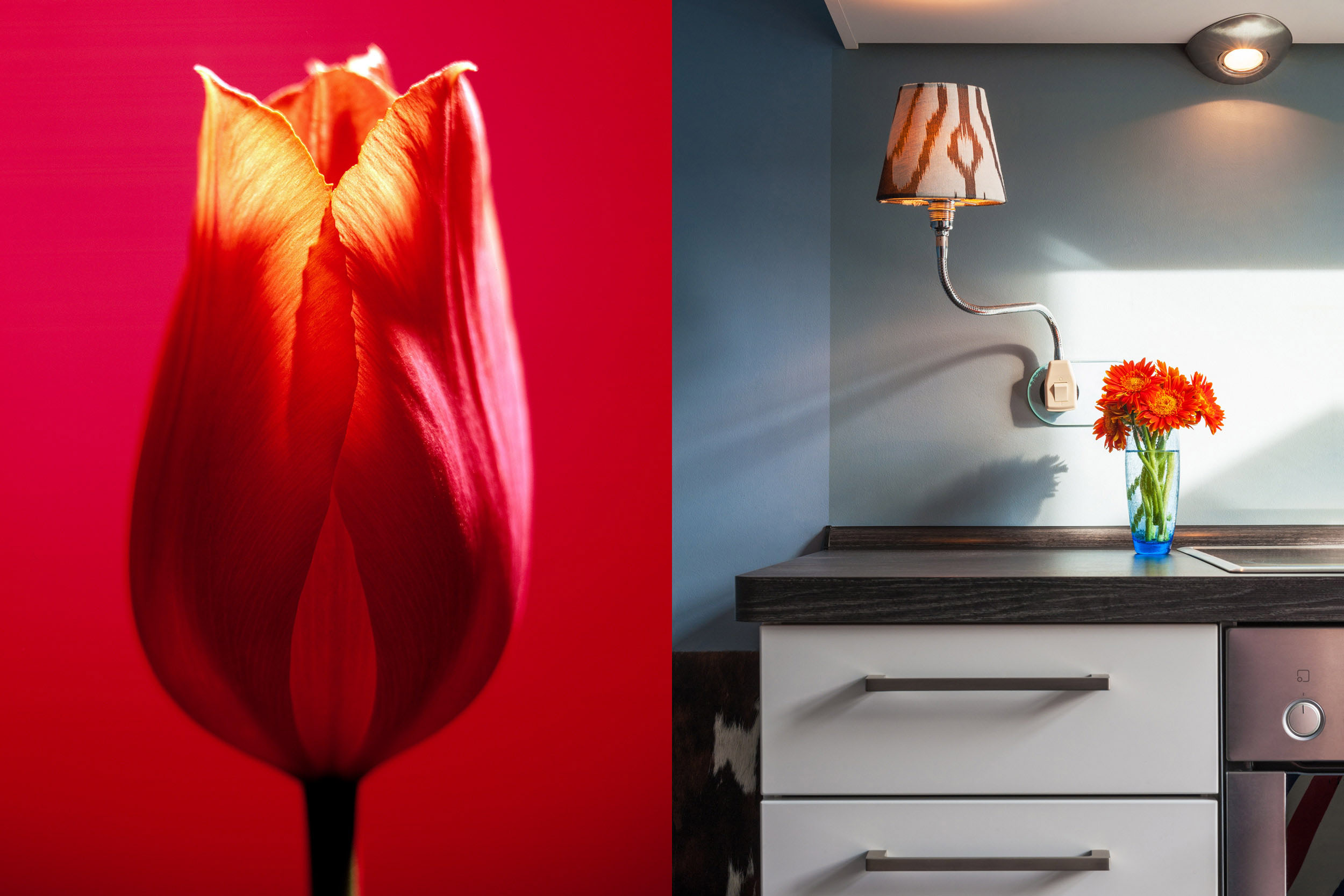Tulpe und Iris Leibkutsch Interiors